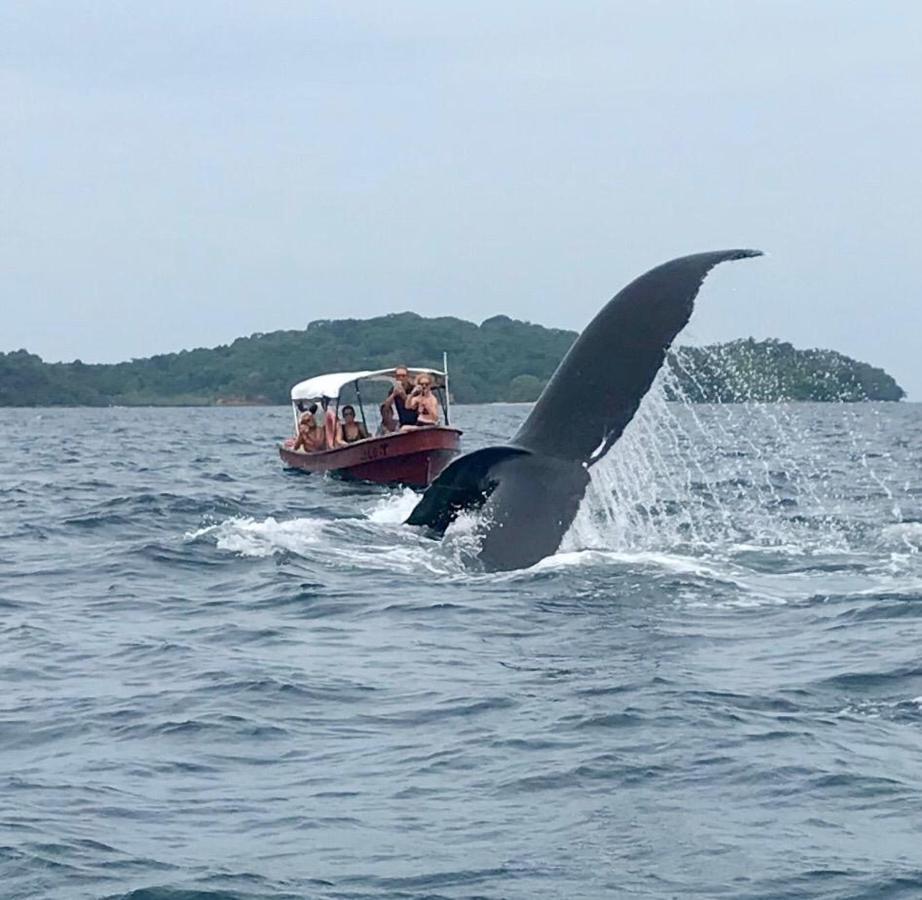 ホテル Mar Y Oro Contadora Island エクステリア 写真