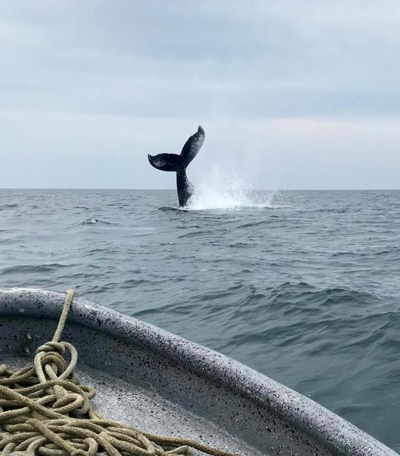 ホテル Mar Y Oro Contadora Island エクステリア 写真